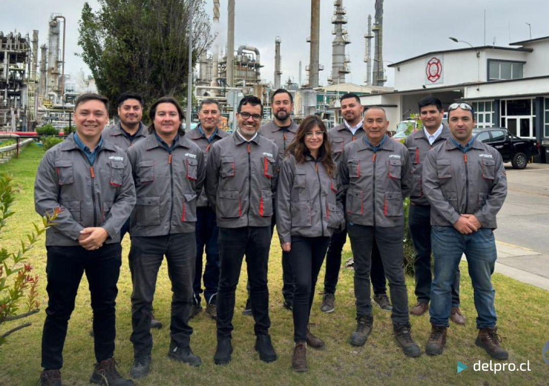 Servicio Integral de Inspección y Control de Proyectos desarrollados en ENAP